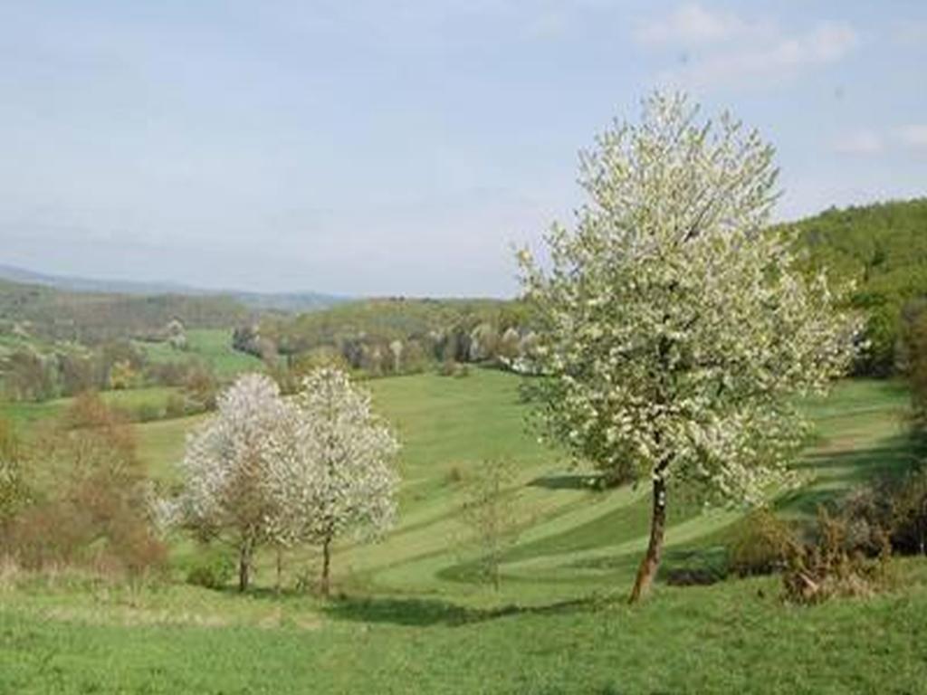 Ferienwohnung Land und Leute Fritzlar Exterior foto